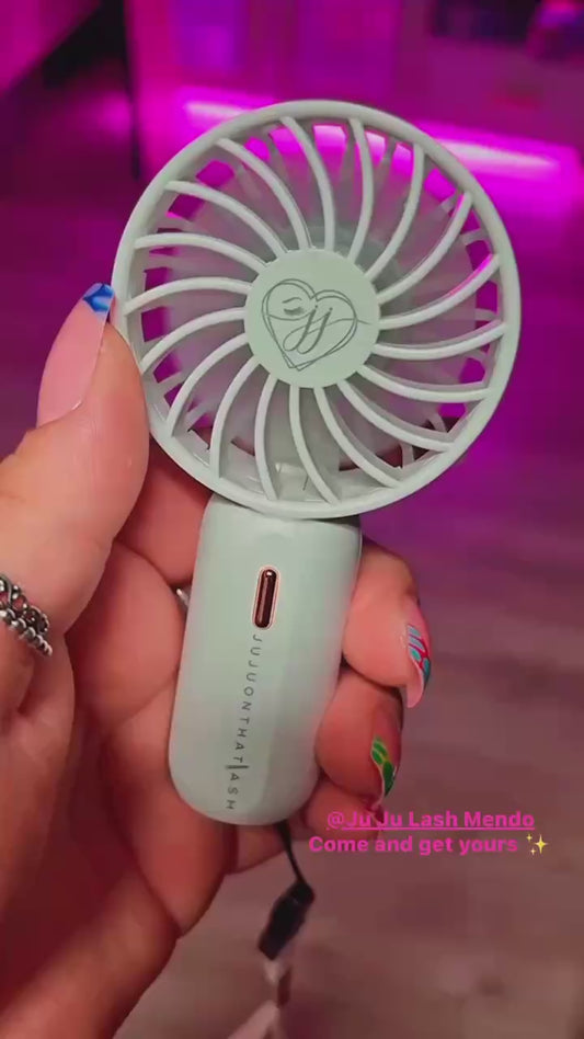 Colorful lash fan